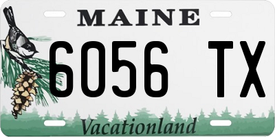 ME license plate 6056TX