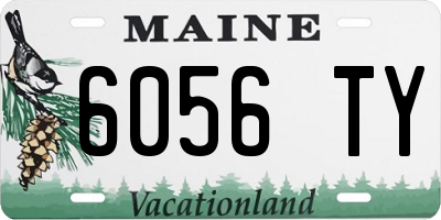 ME license plate 6056TY