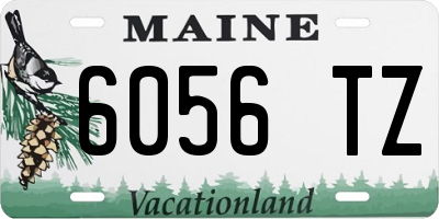 ME license plate 6056TZ