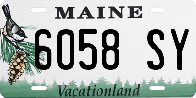 ME license plate 6058SY