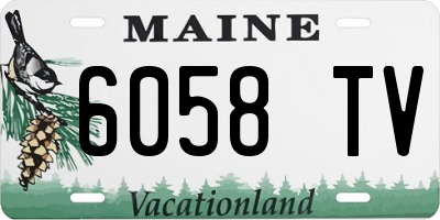 ME license plate 6058TV