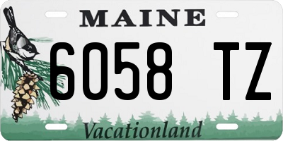 ME license plate 6058TZ