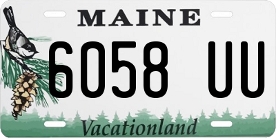 ME license plate 6058UU