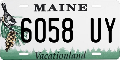 ME license plate 6058UY