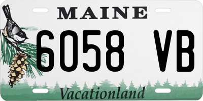ME license plate 6058VB