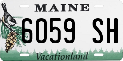 ME license plate 6059SH