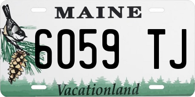 ME license plate 6059TJ
