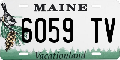ME license plate 6059TV