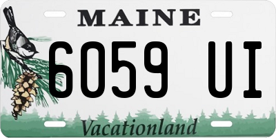 ME license plate 6059UI
