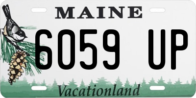 ME license plate 6059UP
