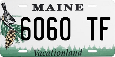 ME license plate 6060TF