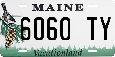 ME license plate 6060TY