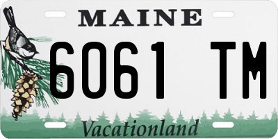 ME license plate 6061TM