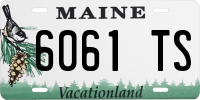 ME license plate 6061TS
