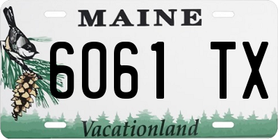 ME license plate 6061TX