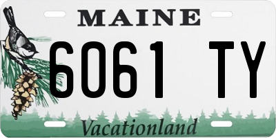 ME license plate 6061TY