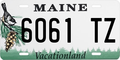 ME license plate 6061TZ