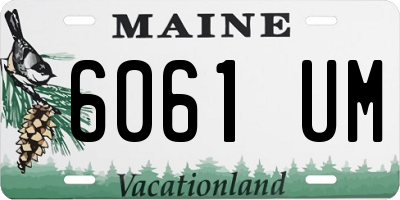 ME license plate 6061UM