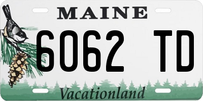 ME license plate 6062TD
