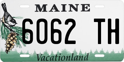 ME license plate 6062TH