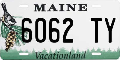 ME license plate 6062TY