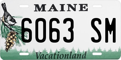 ME license plate 6063SM