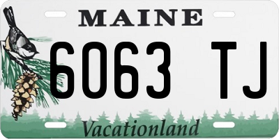 ME license plate 6063TJ