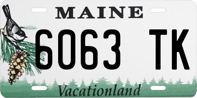 ME license plate 6063TK