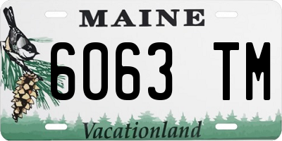ME license plate 6063TM