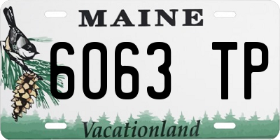 ME license plate 6063TP