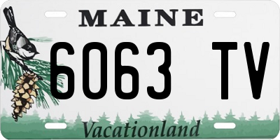 ME license plate 6063TV