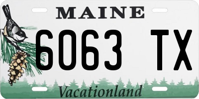 ME license plate 6063TX