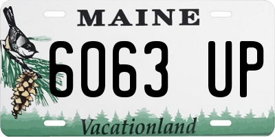 ME license plate 6063UP