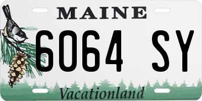 ME license plate 6064SY