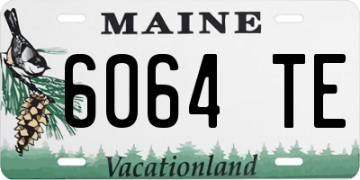 ME license plate 6064TE