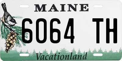 ME license plate 6064TH