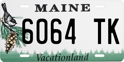 ME license plate 6064TK