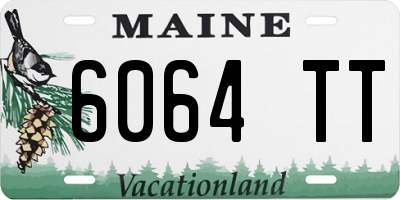 ME license plate 6064TT