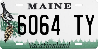ME license plate 6064TY
