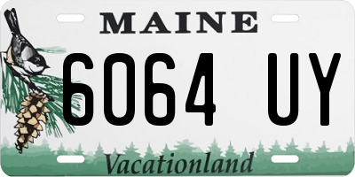 ME license plate 6064UY