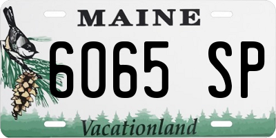 ME license plate 6065SP