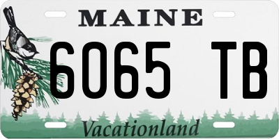 ME license plate 6065TB