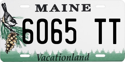 ME license plate 6065TT