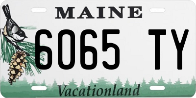 ME license plate 6065TY