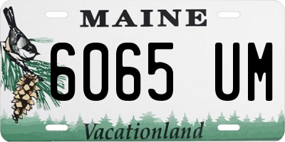 ME license plate 6065UM