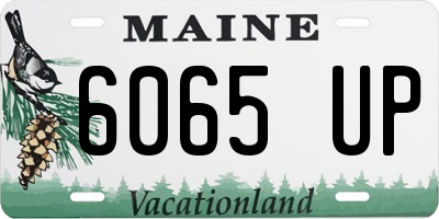 ME license plate 6065UP