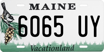 ME license plate 6065UY