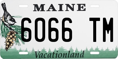 ME license plate 6066TM