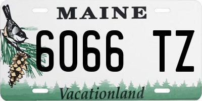 ME license plate 6066TZ