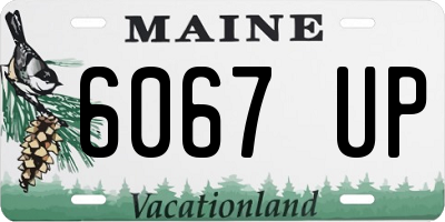 ME license plate 6067UP